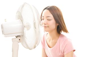 業務用冷蔵庫の選び方と最新モデル徹底解説｜省エネ・大容量・信頼の性能保証まで